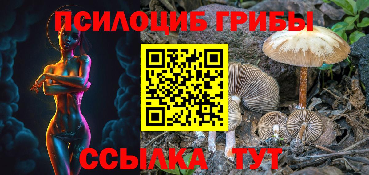 Углич  Псилоцибиновые грибы Psilocybe  Галлюциногенные грибы мицелий  Вход с VPN 