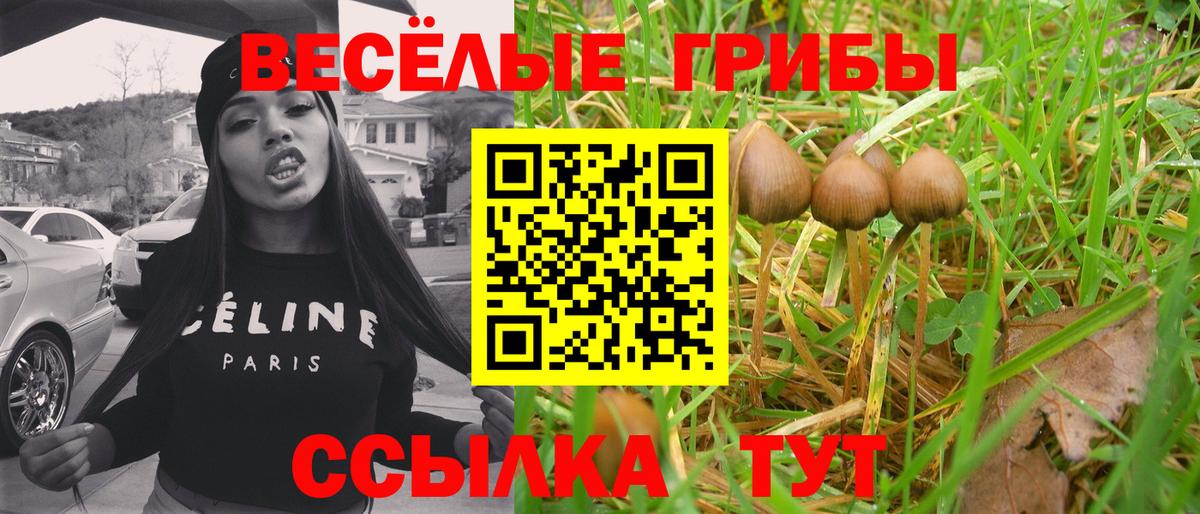 Codein Углич