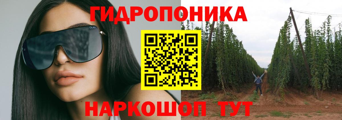 Каннабис план  Канабис SATIVA & INDICA  Углич  Вход с VPN 